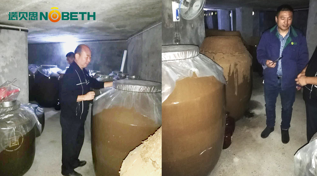 電加熱蒸汽發生器