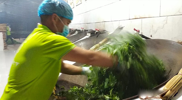 電氣化制茶成主流，蒸汽發生器讓制茶無煙化，實現零排放的環保目標