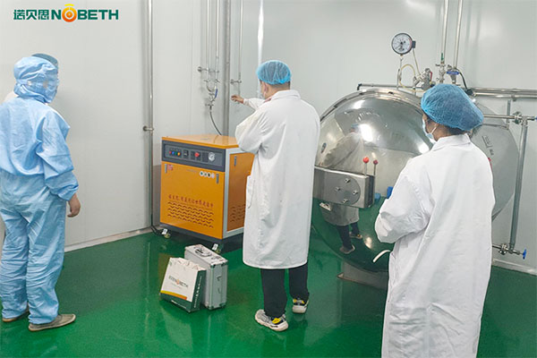高溫高壓蒸汽機推薦，食品蒸汽滅菌用