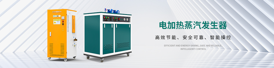 電加熱蒸汽發生器
